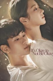 It’s Okay to Not Be Okay (Tudo Bem Não Ser Normal)