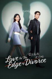 Love in the Edge of Divorce (Amor à Beira do Divórcio)