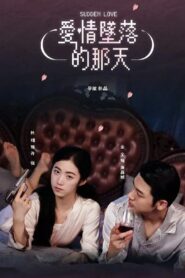 Sudden Love