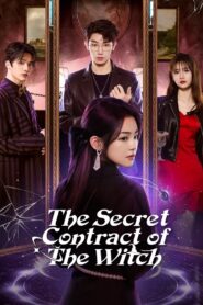 The Secret Contract of the Witch (O Contrato Secreto da Bruxa)